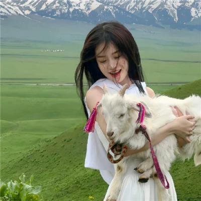 狼嚎:重生