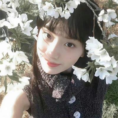 花有重开日